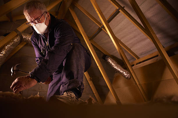Best Insulation Installation Services in Winslow, AZ