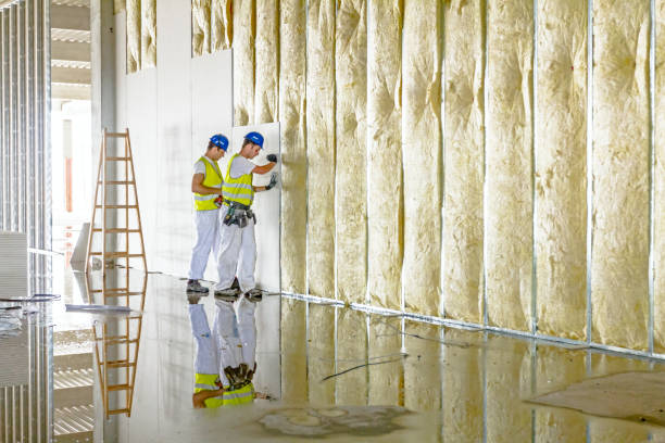 Best Commercial Insulation in Winslow, AZ